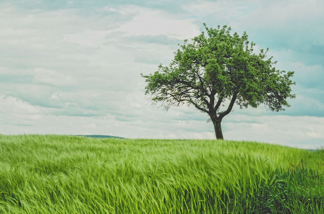 découvrez tout sur les seins naturels : conseils pour l'entretien, les soutiens-gorge adaptés, et des informations sur la santé mammaire. apprenez à valoriser votre silhouette tout en préservant votre bien-être!